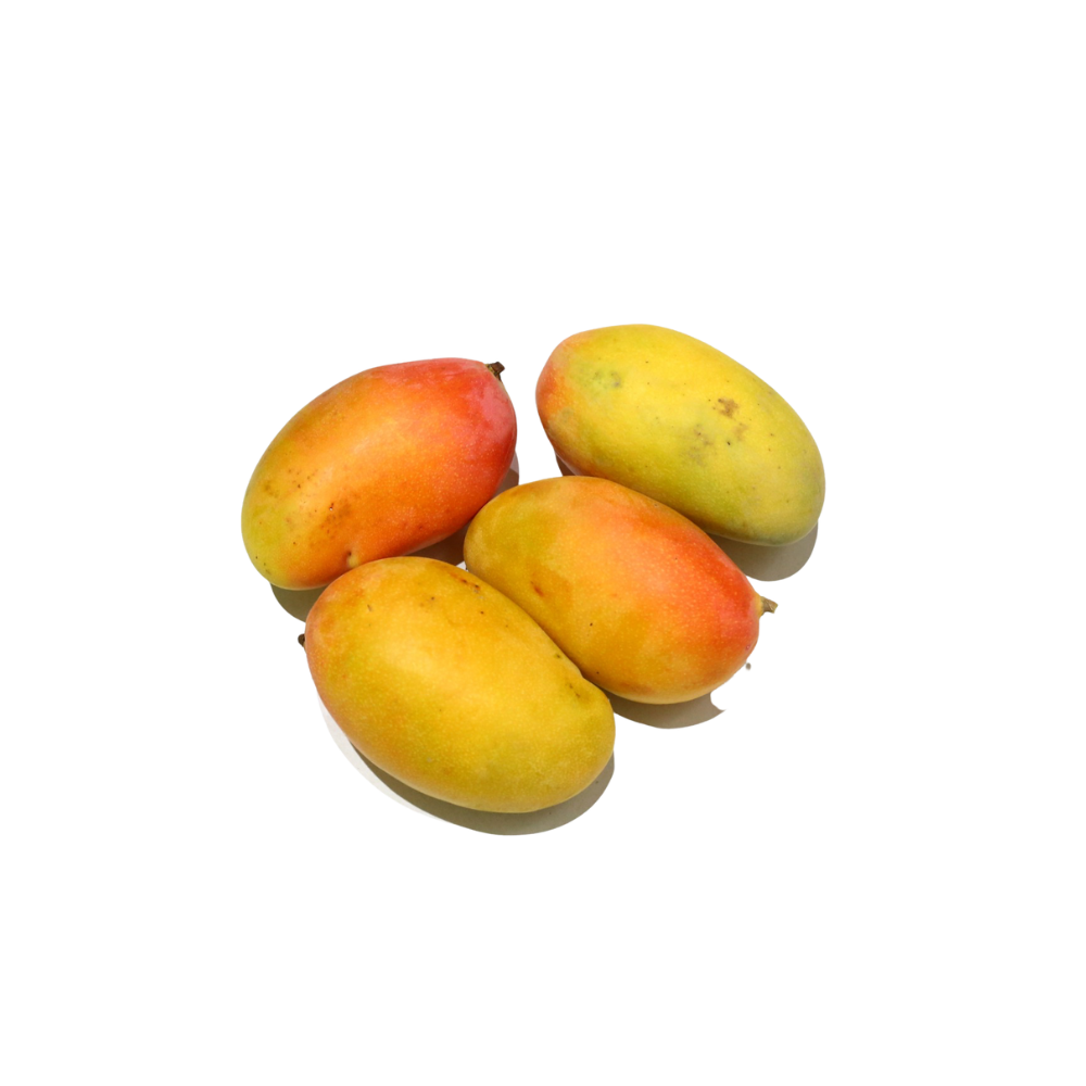 Mango-Taymour