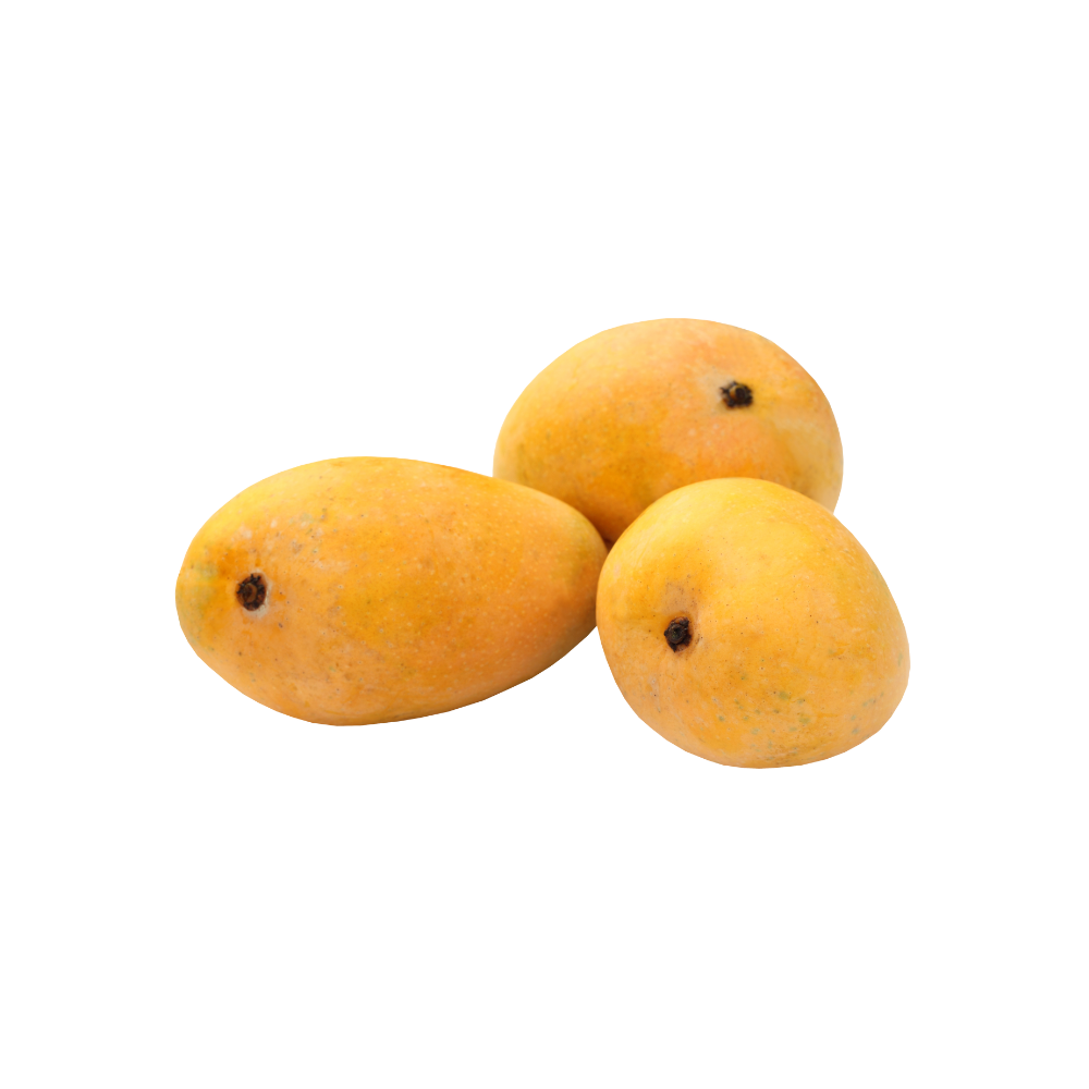 Mango-Zebdeya
